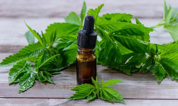 Pourquoi acheter des produits à base de chanvre en ligne ?