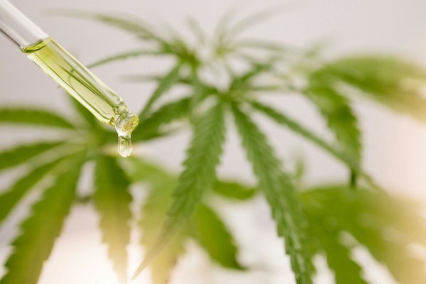 Pourquoi consommer du cbd : bénéfices et conseils essentiels